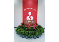 ��¥У��¥����������